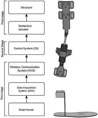 Semiactive Knee Orthotic Using a MR Damper and a Smart Insole to Control the Damping Force Sensing the Plantar Pressure